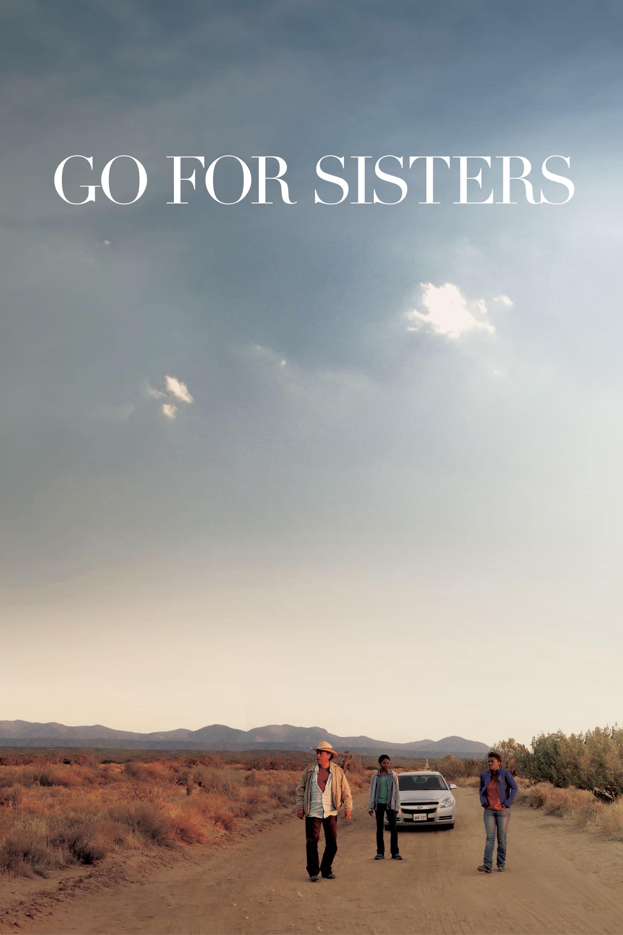 Постер Go for Sisters